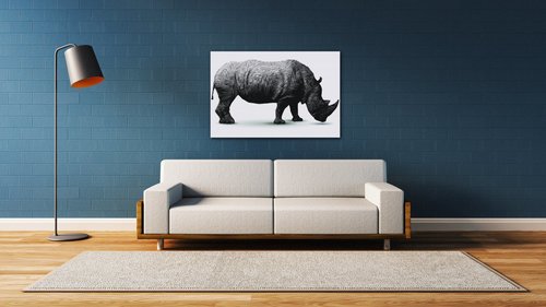 Obraz Nosorožec na bílém pozadí - 60 x 40 cm
