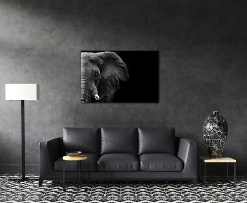 Obraz Slon na černém pozadí - 90 x 60 cm