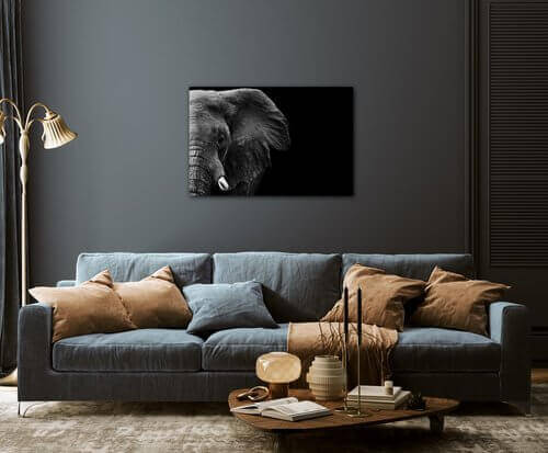 Obraz Slon na černém pozadí - 90 x 60 cm