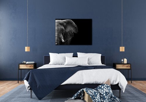 Obraz Slon na černém pozadí - 70 x 50 cm