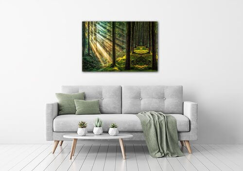 Obraz Paprsky slunce v lese - 90 x 60 cm