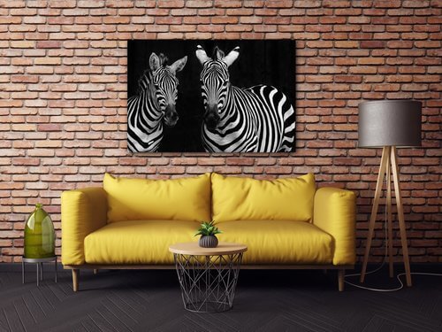 Obraz Dvě zebry černobílé - 60 x 40 cm