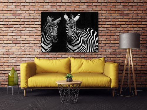 Obraz Dvě zebry černobílé - 70 x 50 cm