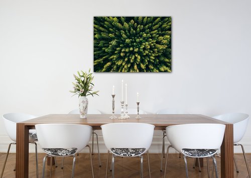 Obraz Les - 70 x 50 cm