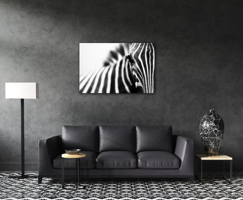 Obraz Zebra detail - 90 x 60 cm