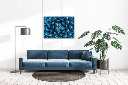 Obraz Modrý květ - 70 x 50 cm
