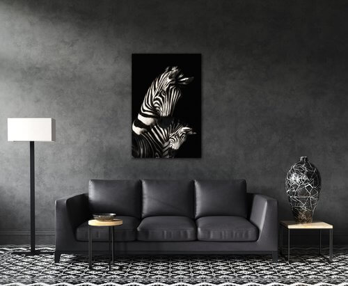 Obraz Zebry černobílé - 40 x 60 cm