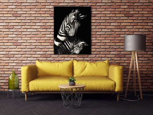Obraz Zebry černobílé - 70 x 90 cm