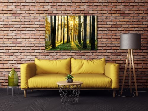 Obraz Osvícený les - 90 x 60 cm