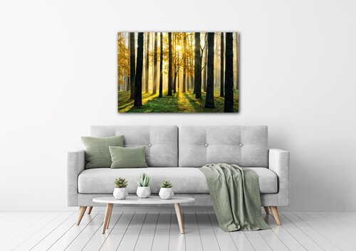 Obraz Osvícený les - 90 x 60 cm