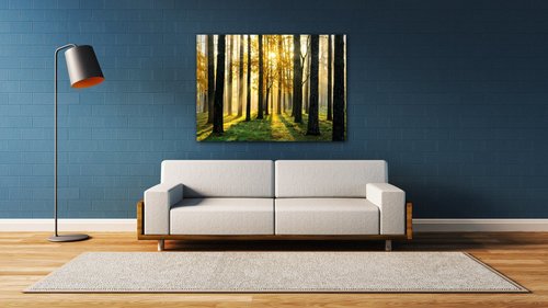 Obraz Osvícený les - 70 x 50 cm