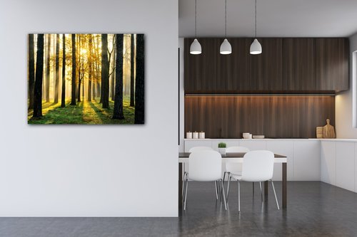 Obraz Osvícený les - 90 x 70 cm