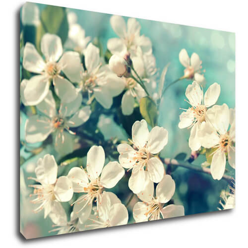 Obraz Třešňový květ modré pozadí - 90 x 60 cm