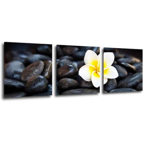 Obraz Bílý květ na černých kamenech - 90 x 30 cm (3 dílný)