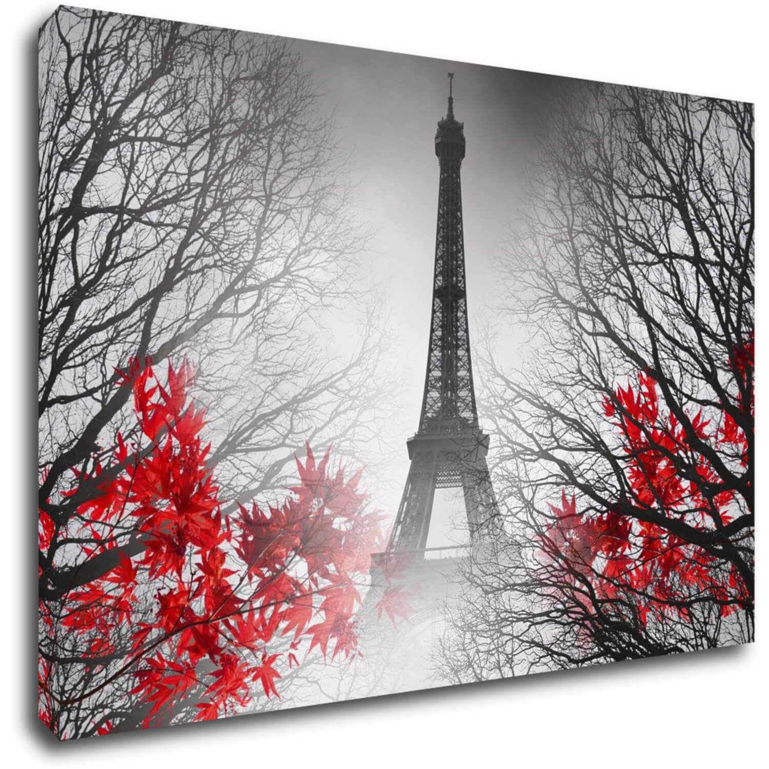 Obraz Eiffelova věž černobílá s červeným detailem - 60 x 40 cm