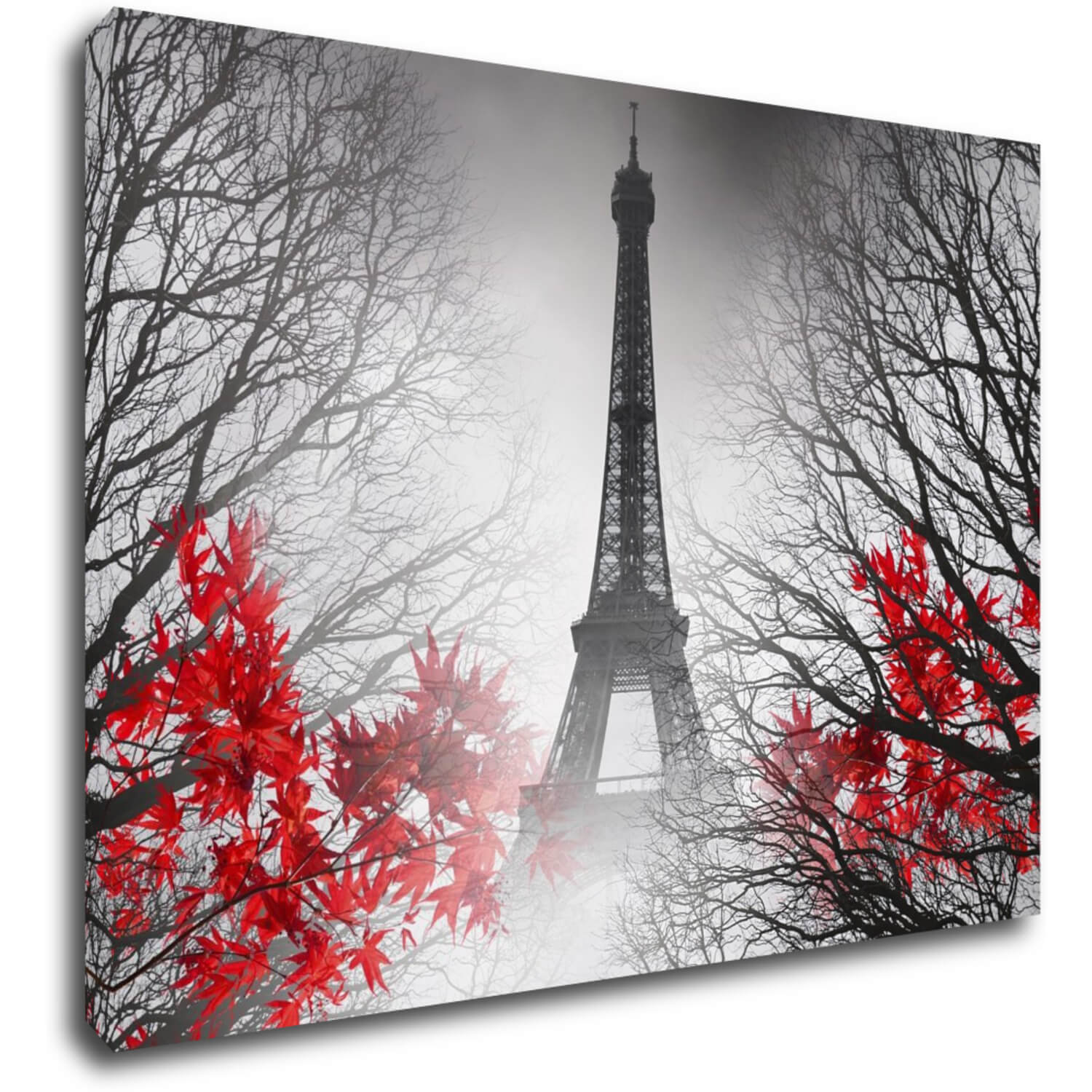Obraz Eiffelova věž černobílá s červeným detailem - 70 x 50 cm