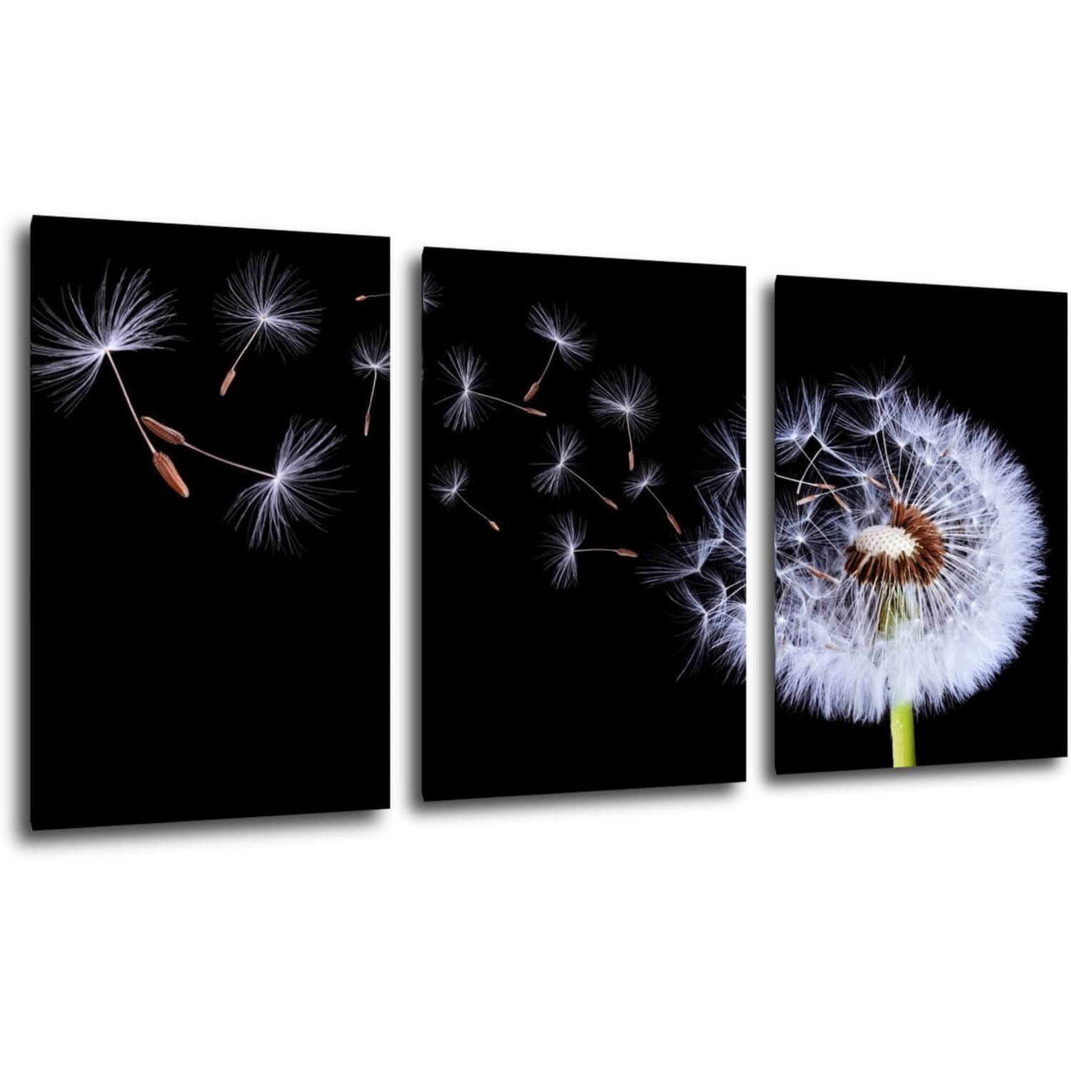 Obraz Pampeliška na černém pozadí - 120 x 60 cm (3 dílný)