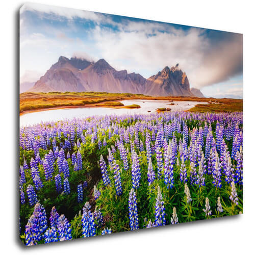 Obraz Horská krajina s květinami - 70 x 50 cm