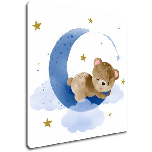 Obraz Medvídek na modrém měsíci