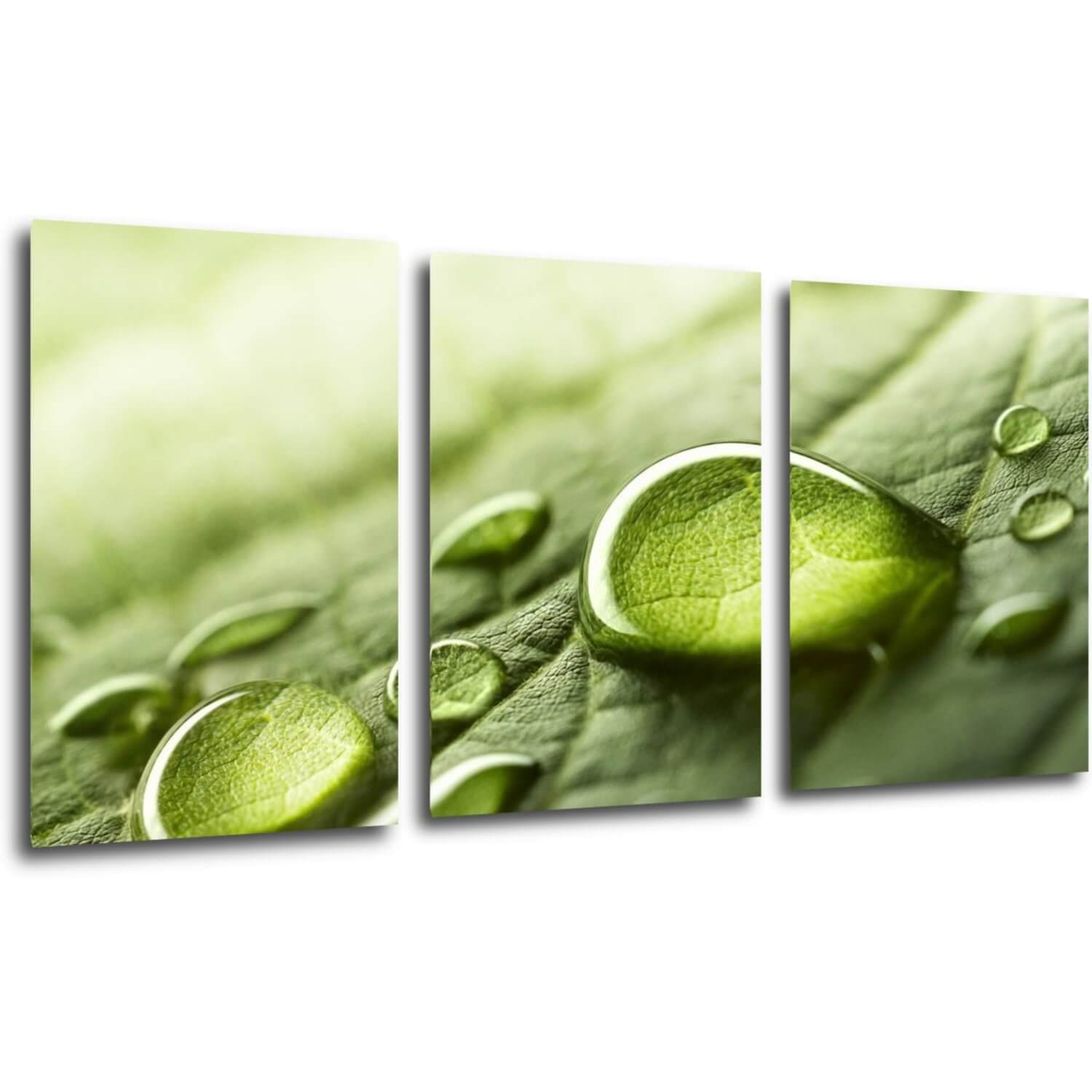Obraz Kapky vody na listu - 120 x 60 cm (3 dílný)