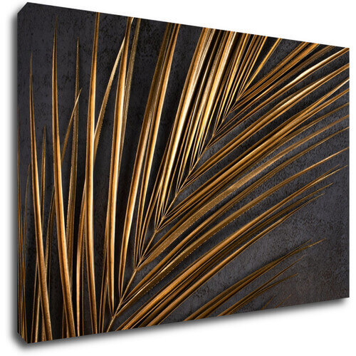 Obraz Zlatá palma - 90 x 60 cm