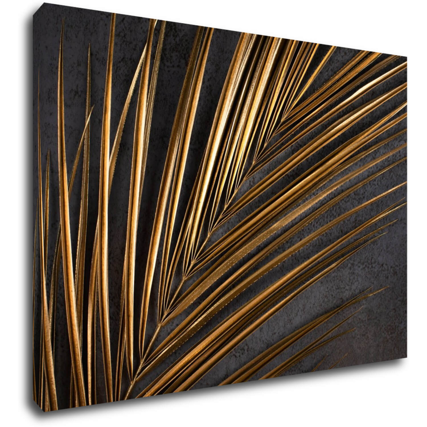 Obraz Zlatá palma - 70 x 50 cm