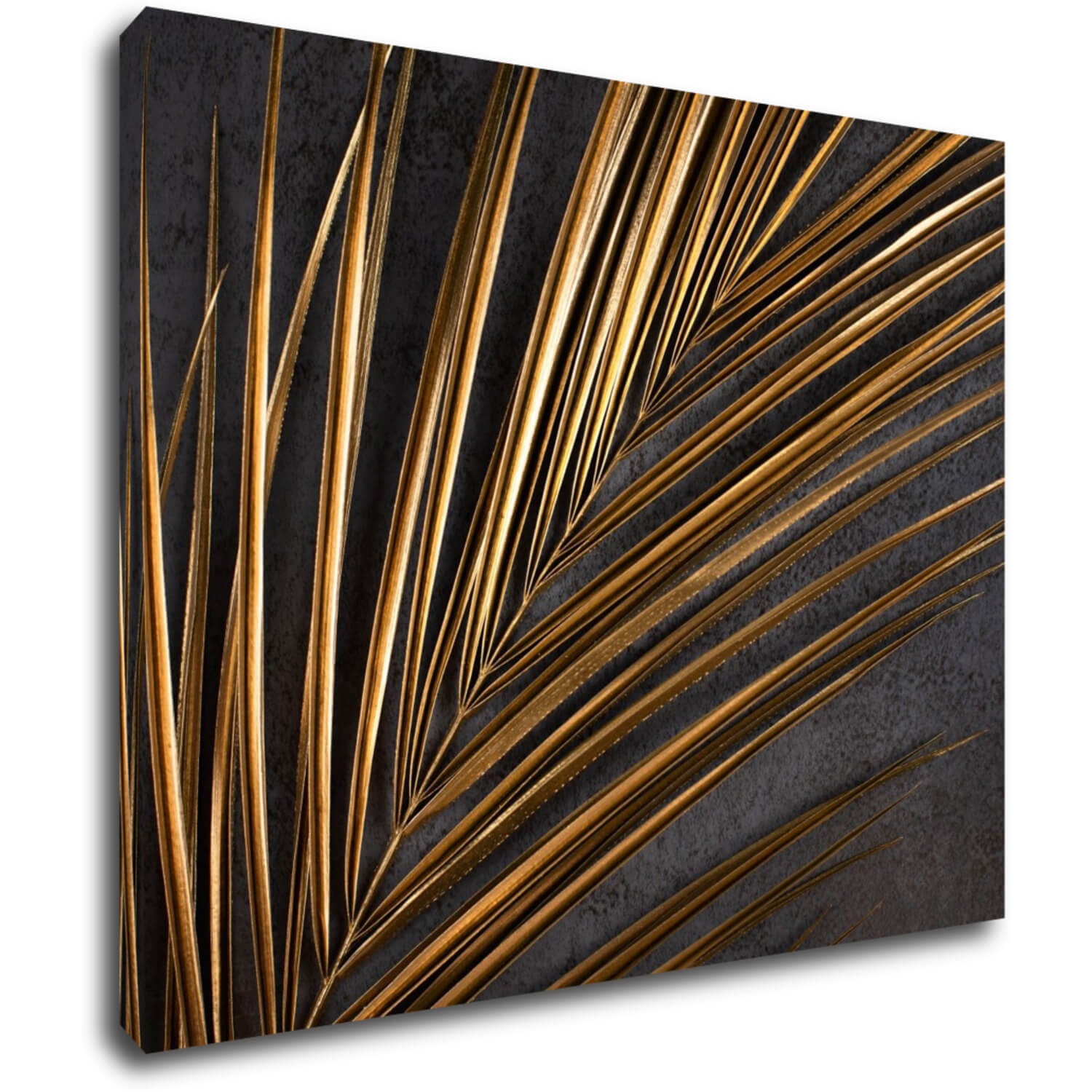 Obraz Zlatá palma - 90 x 70 cm