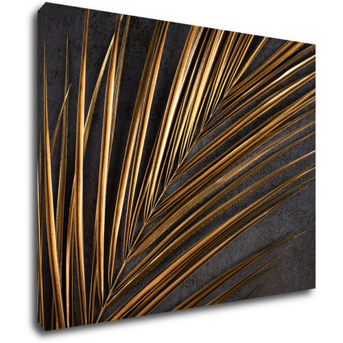 Obraz Zlatá palma - 90 x 70 cm