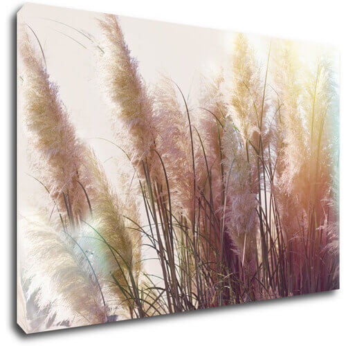 Obraz Suchá tráva - 60 x 40 cm