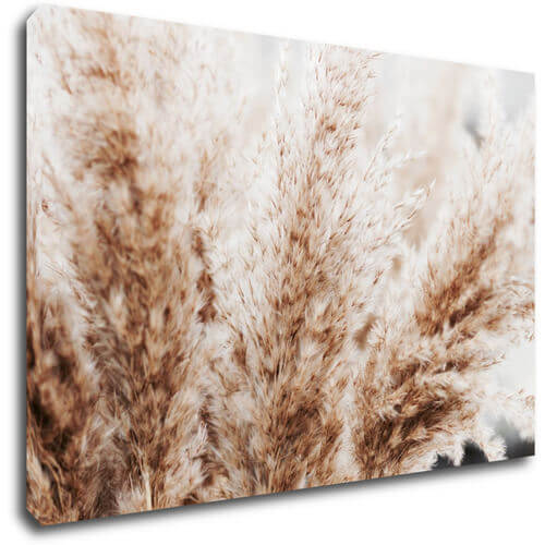 Obraz Suchá tráva skandinávský styl - 90 x 60 cm