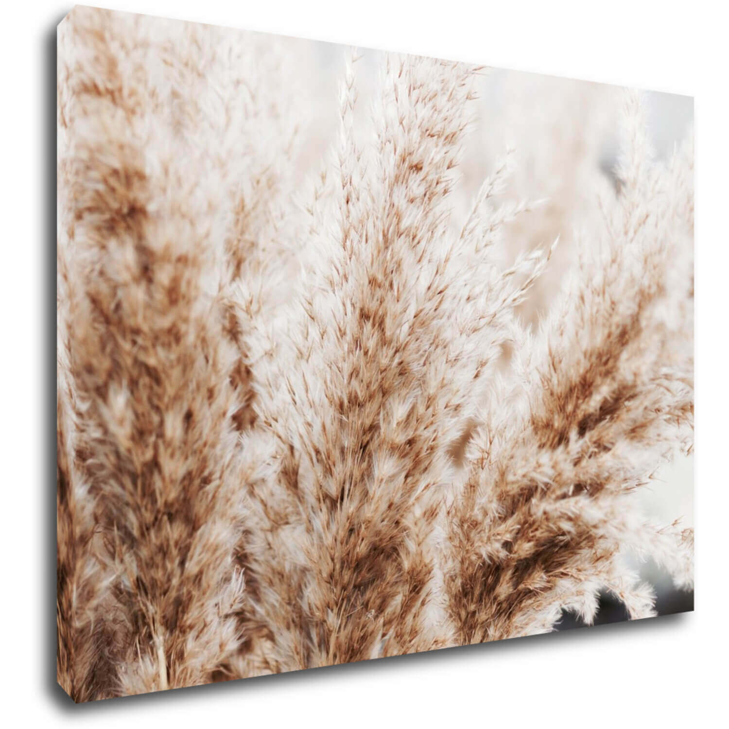 Obraz Suchá tráva skandinávský styl - 70 x 50 cm
