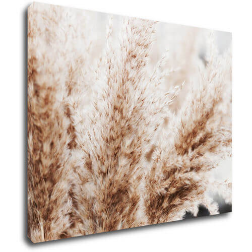 Obraz Suchá tráva skandinávský styl - 90 x 70 cm