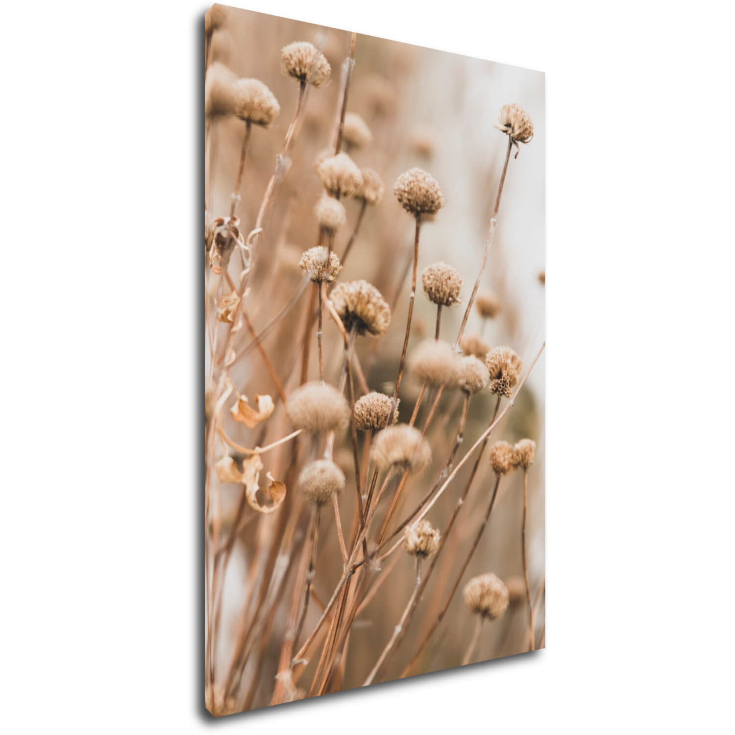 Obraz Skandinávský styl suchá tráva - 40 x 60 cm