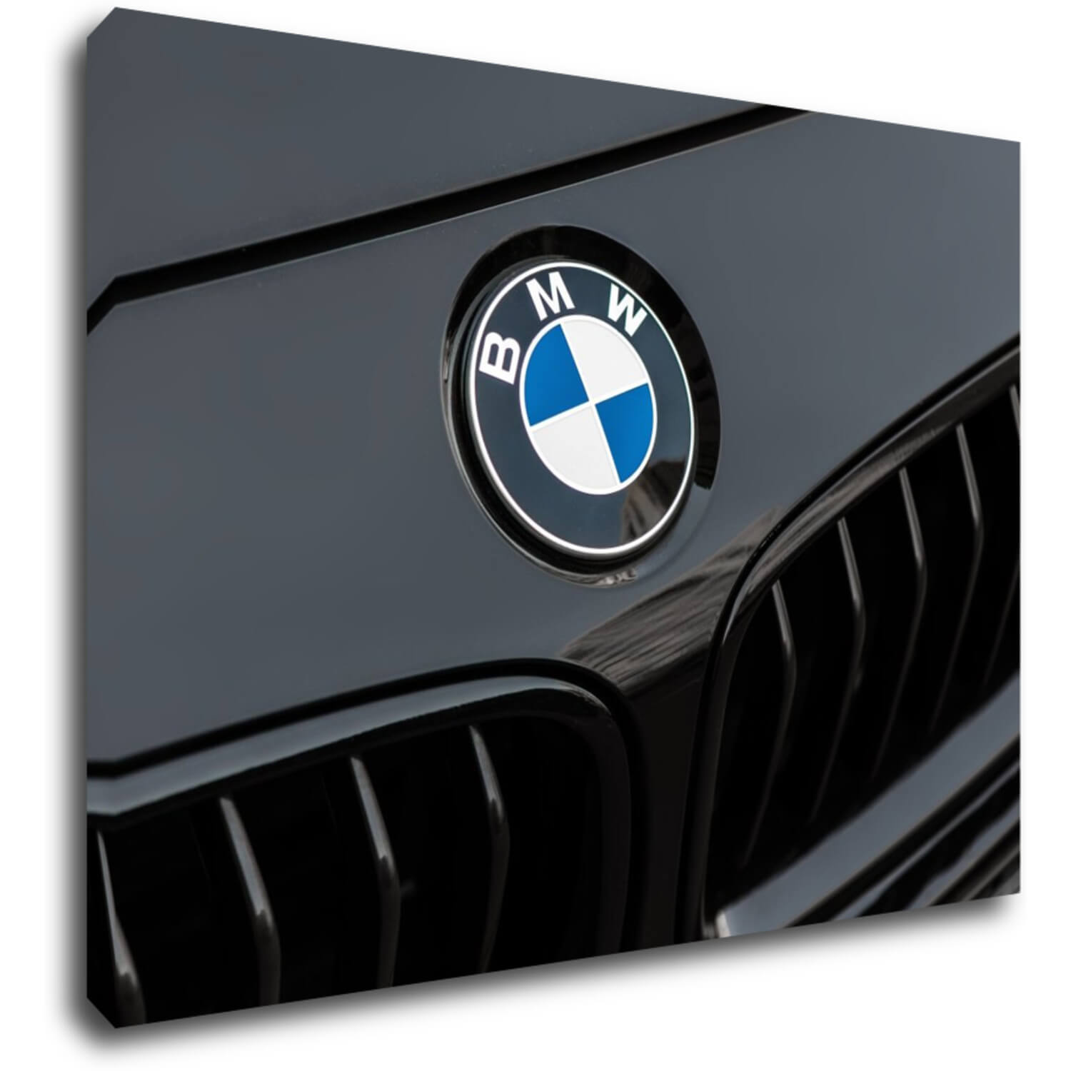 Obraz BMW znak - 70 x 50 cm