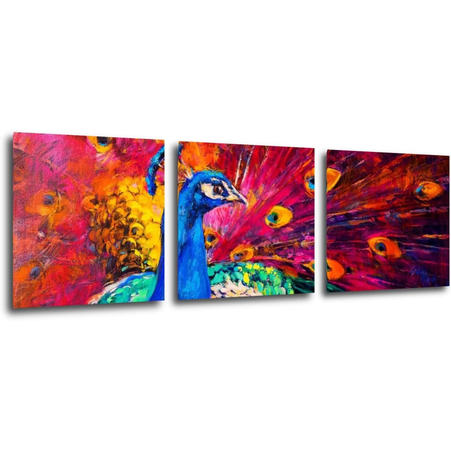 Obraz Barevný páv - 90 x 30 cm (3 dílný)
