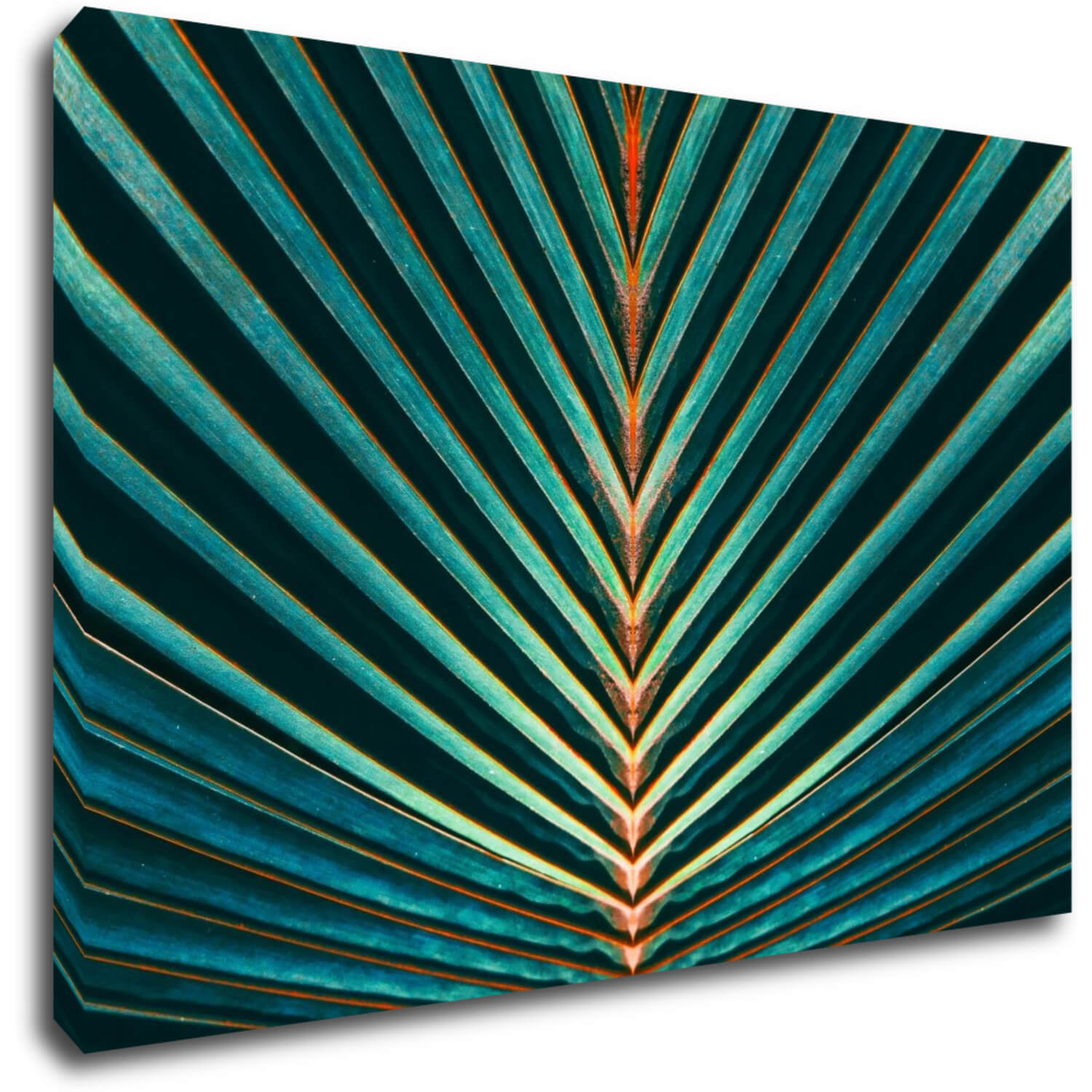 Obraz Palmový list - 60 x 40 cm