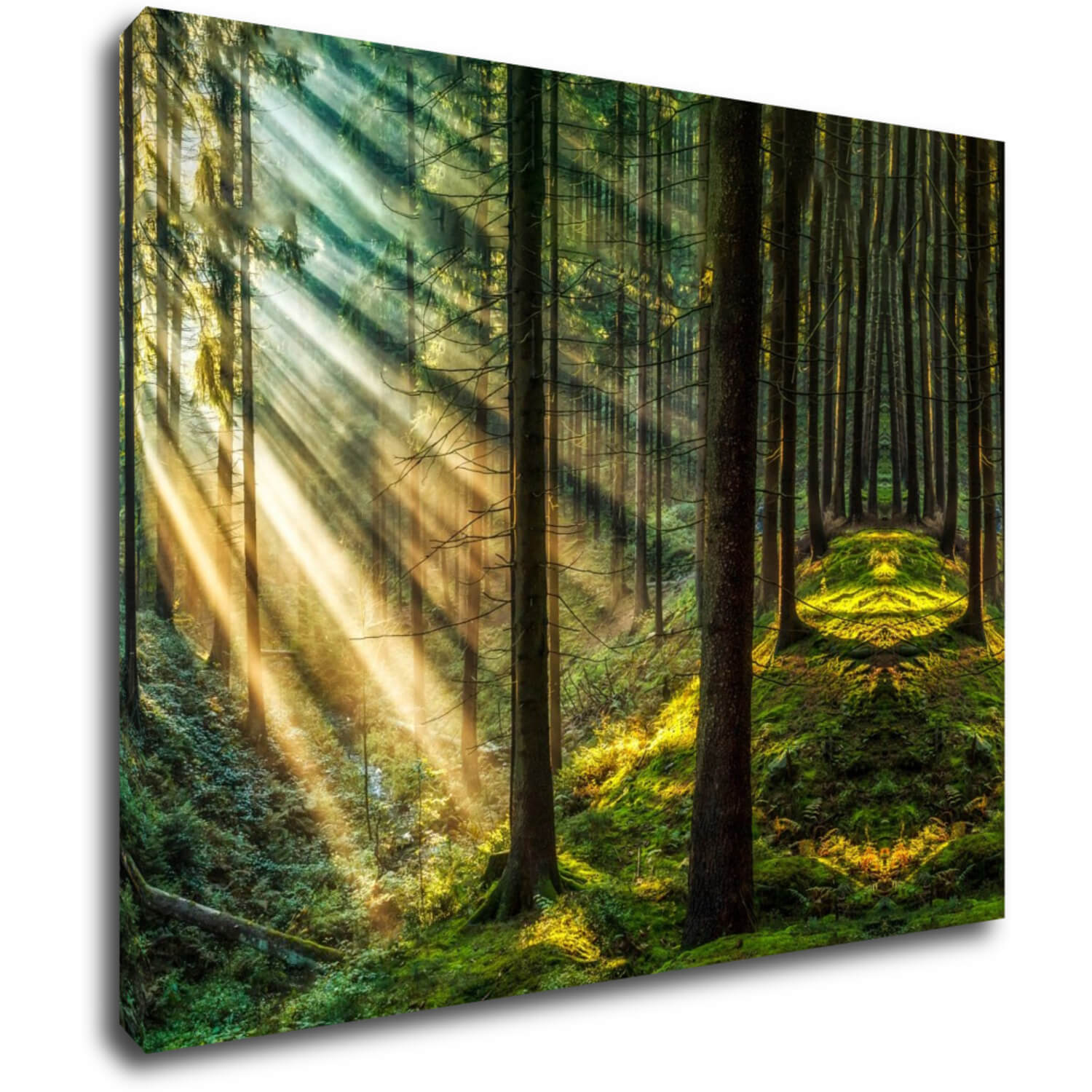 Obraz Paprsky slunce v lese - 90 x 70 cm