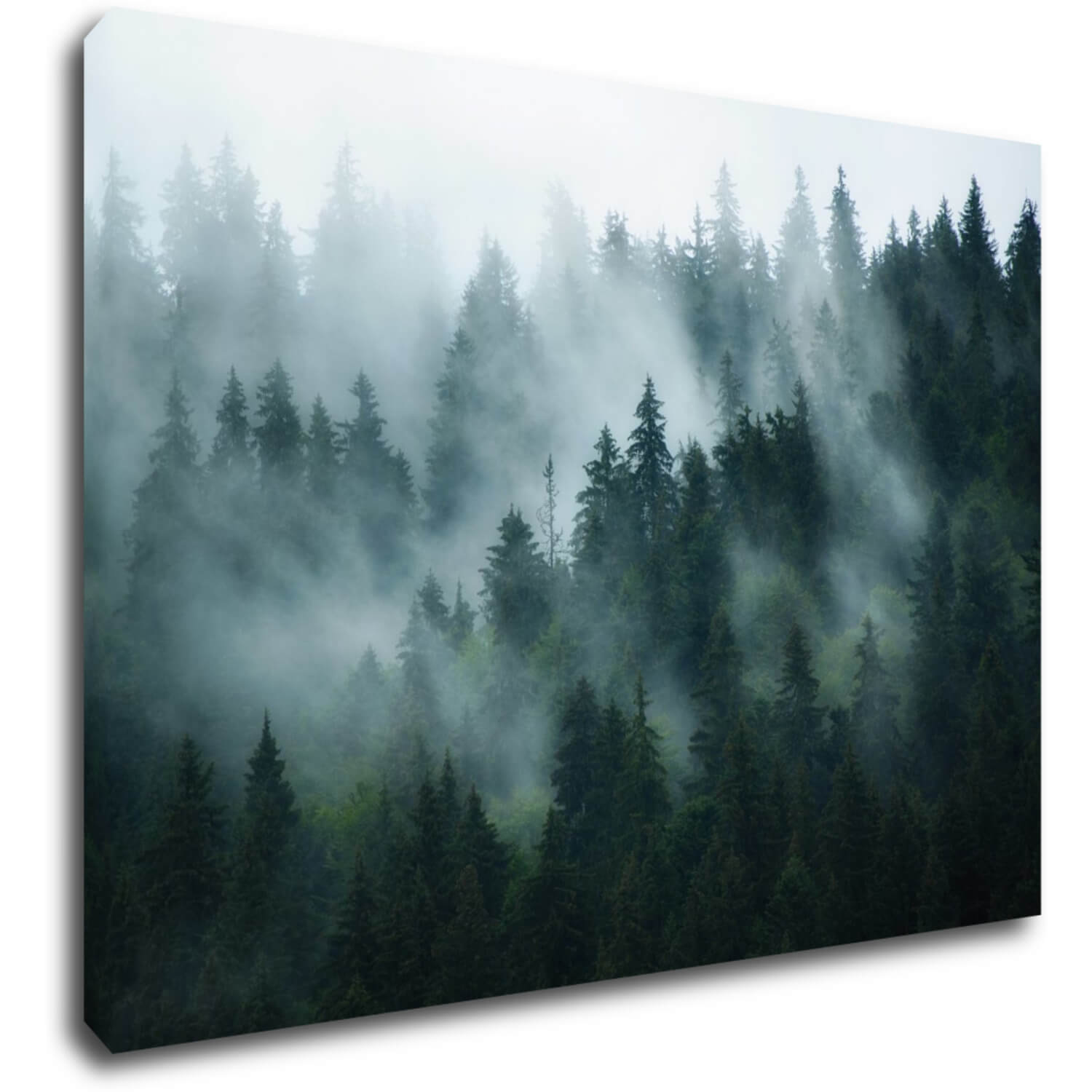 Obraz Les v mlze - 70 x 50 cm