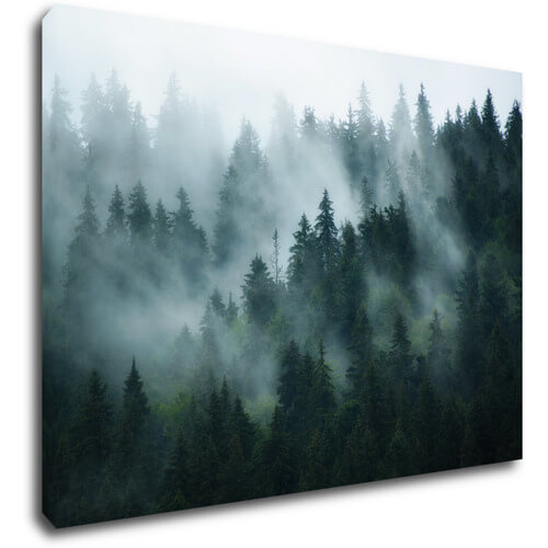 Obraz Les v mlze - 70 x 50 cm