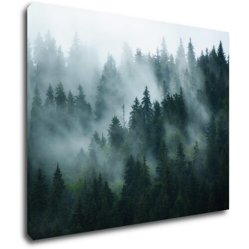 Obraz Les v mlze - 90 x 70 cm