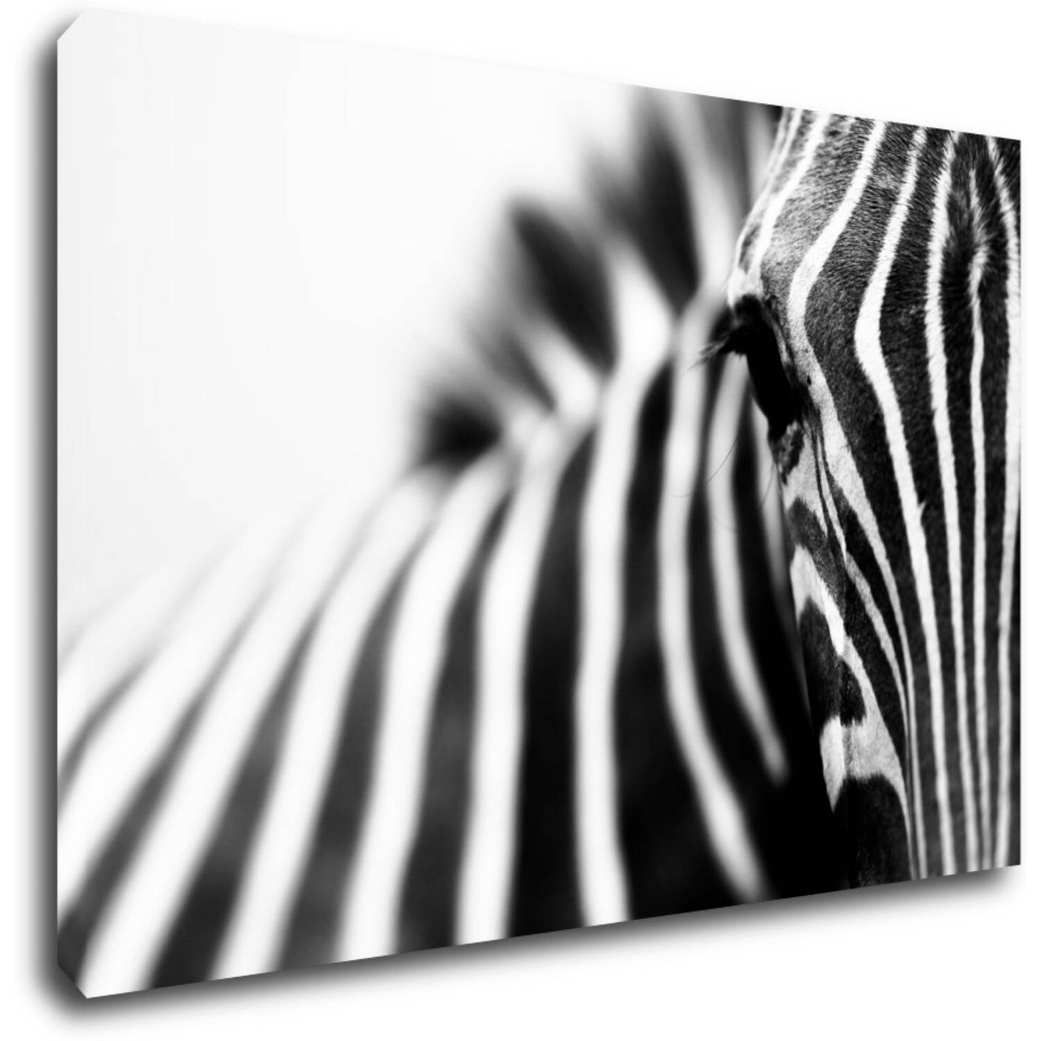 Obraz Zebra detail - 90 x 60 cm
