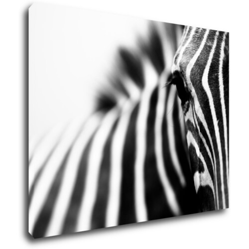 Obraz Zebra detail - 90 x 70 cm