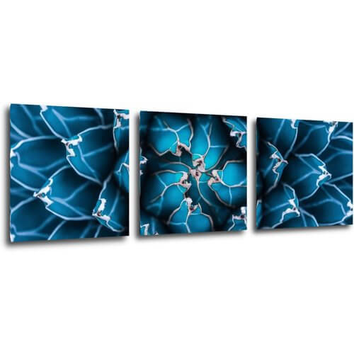 Obraz Modrý květ - 90 x 30 cm (3 dílný)