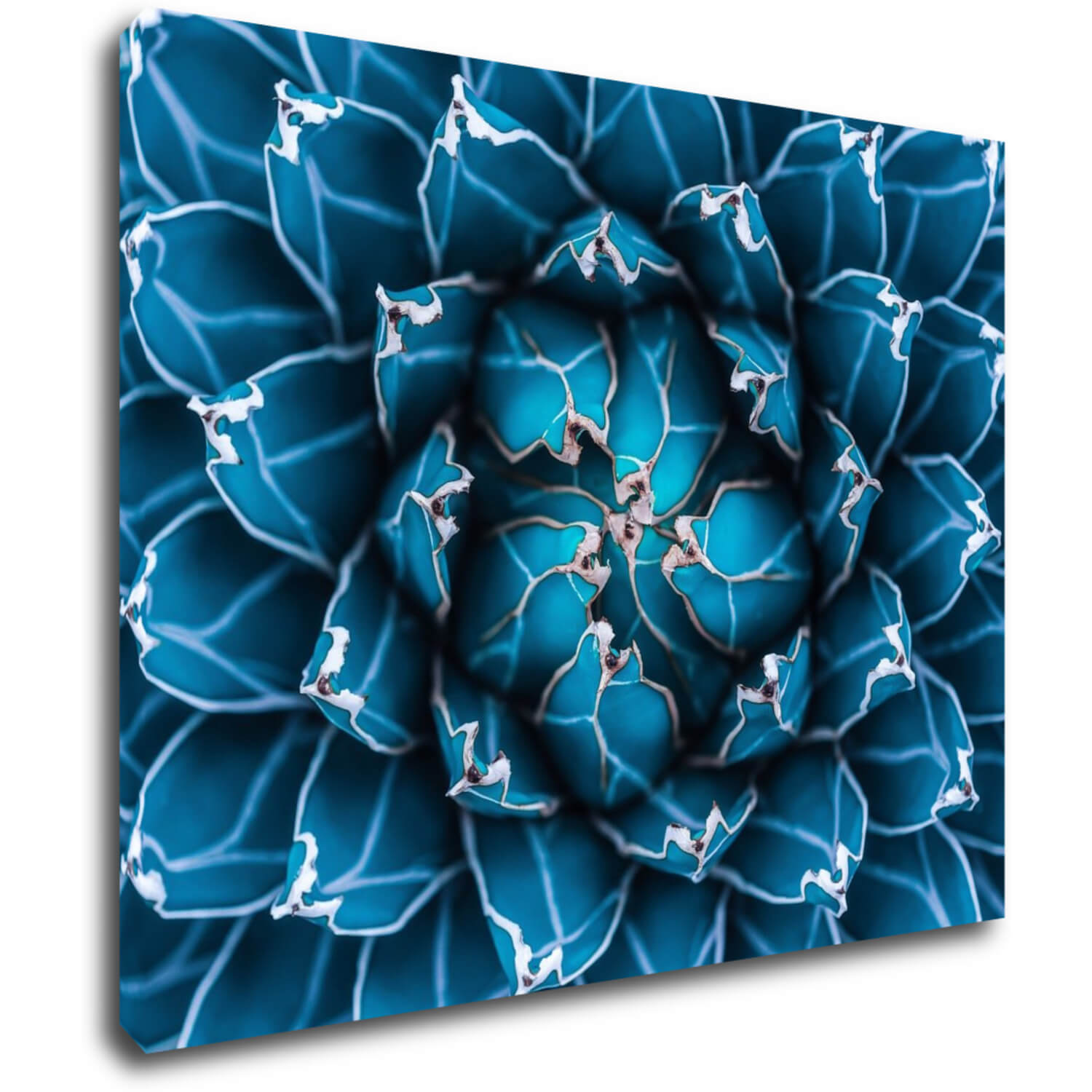 Obraz Modrý květ - 90 x 70 cm