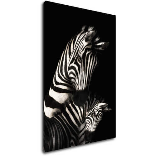 Obraz Zebry černobílé