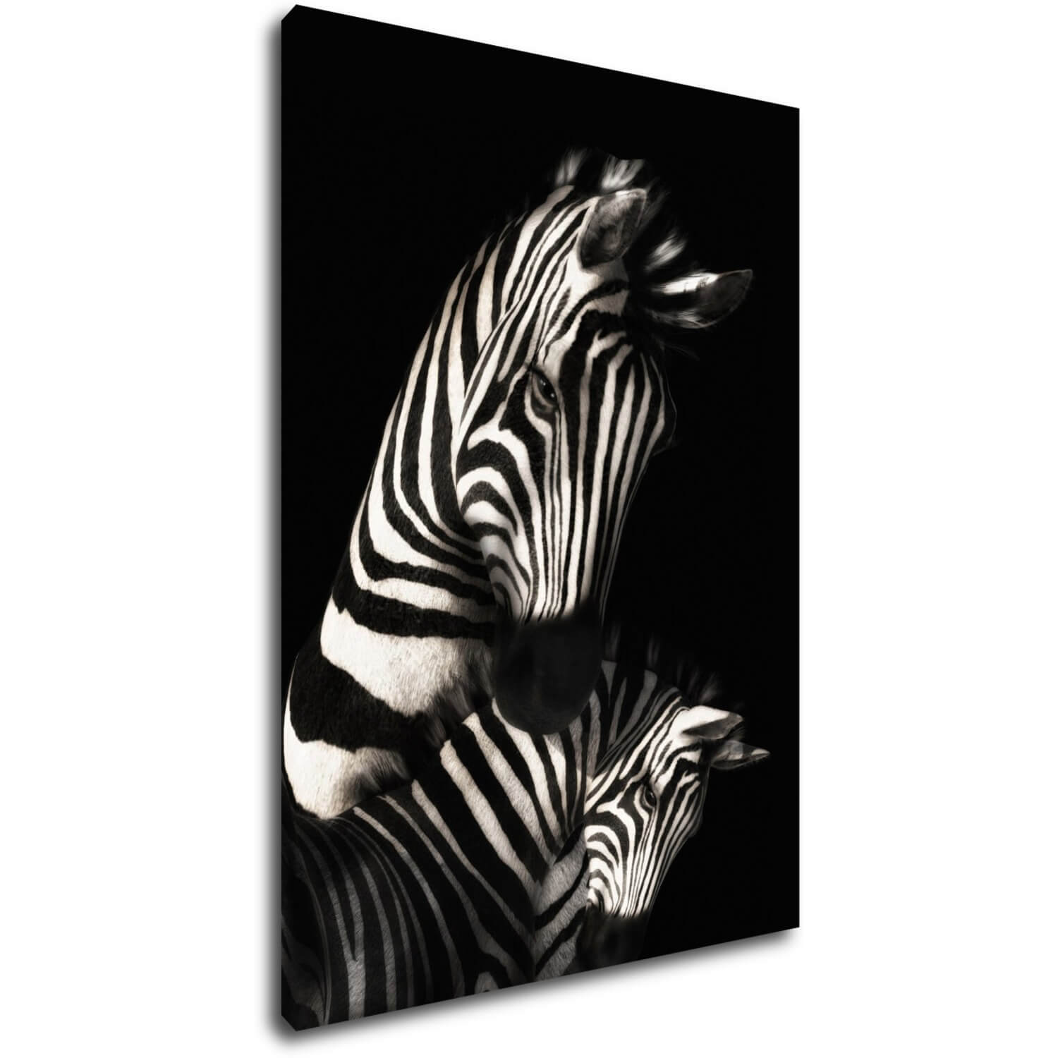 Obraz Zebry černobílé - 50 x 70 cm